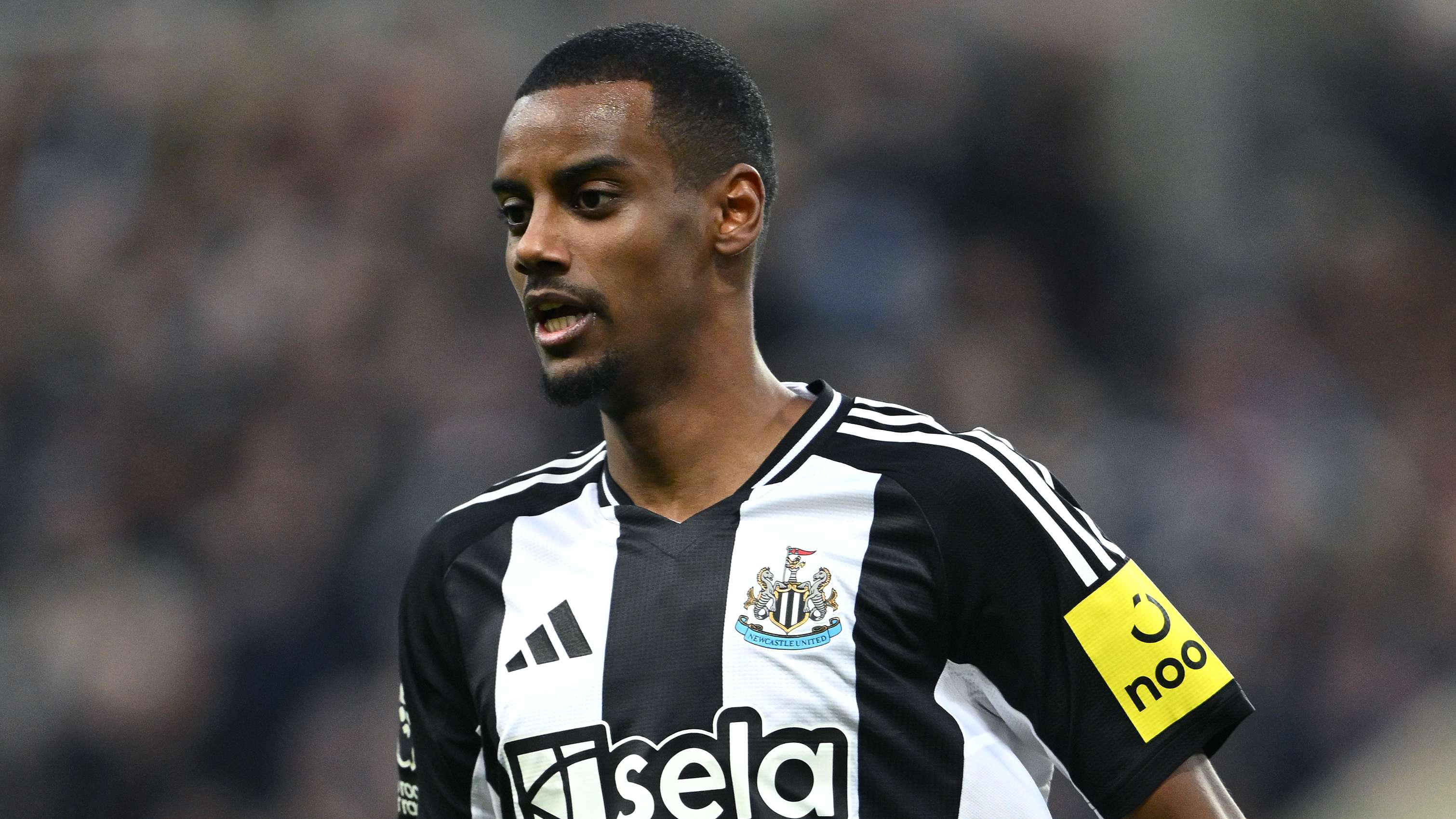 不屈不挠的 不屈不挠的