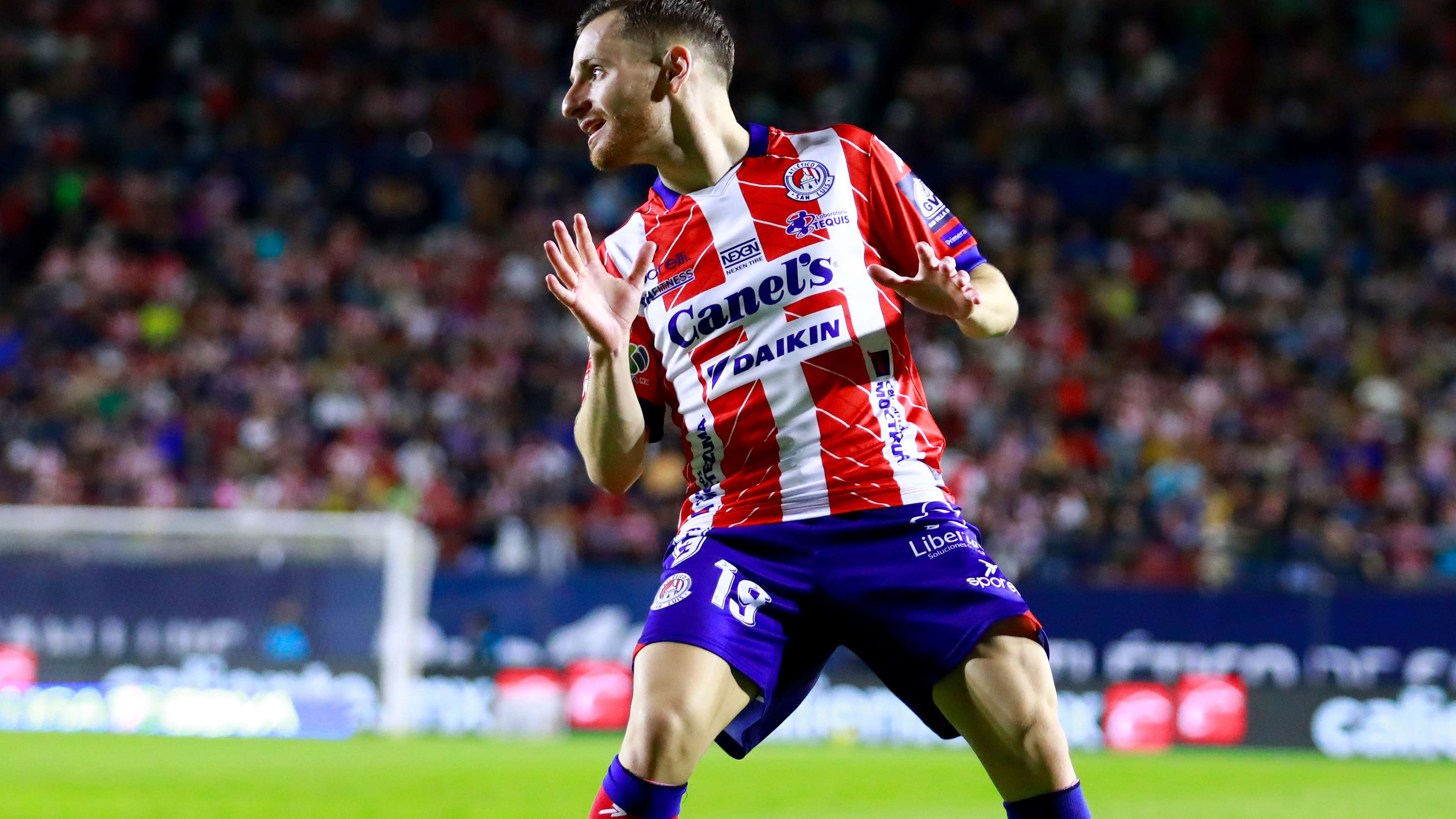 斯职业生涯 斯职业生涯